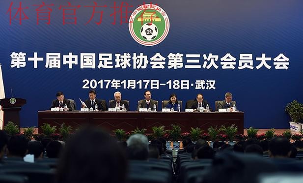 第十届中国足球协会第三次会员大会决议